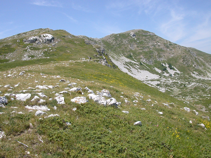 Monte Cava da Corvaro | Escursioni, Sentieri e Trekking nel Lazio Monte Cava da Corvaro | Escursioni, Sentieri e Trekking nel Lazio
