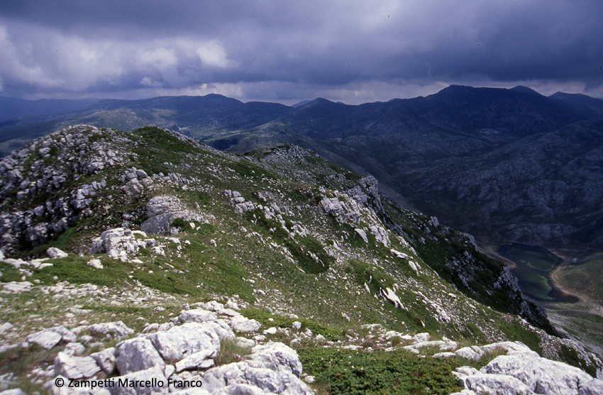 Monte Morrone da Cartore | Escursioni, Sentieri e Trekking nel Lazio Monte Morrone da Cartore | Escursioni, Sentieri e Trekking nel Lazio