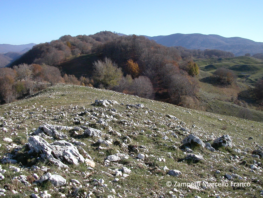 Monte Camposecco da Camerata Nuova | Escursioni, Sentieri e Trekking nel Lazio Monte Camposecco da Camerata Nuova | Escursioni, Sentieri e Trekking nel Lazio