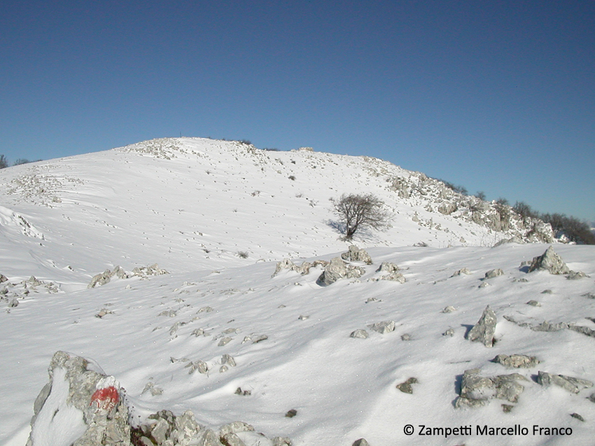 Monte Lupone da Campo di Segni | Escursioni, Sentieri e Trekking nel Lazio Monte Lupone da Campo di Segni | Escursioni, Sentieri e Trekking nel Lazio