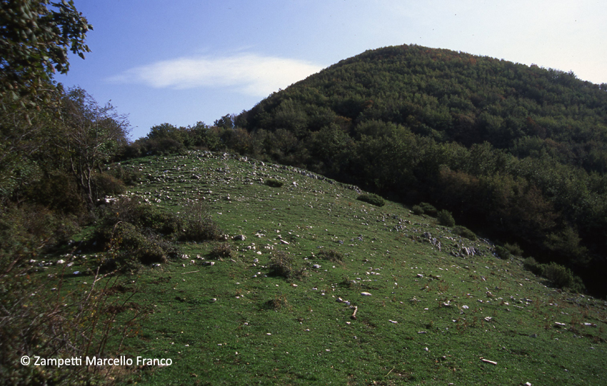Monte Serrapopolo da Scandriglia | Escursioni, Sentieri e Trekking nel Lazio Monte Serrapopolo da Scandriglia | Escursioni, Sentieri e Trekking nel Lazio