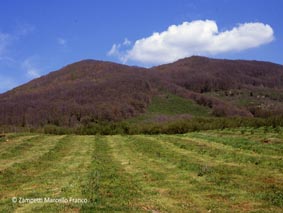 Monte Venere da Caprarola | Escursioni, Sentieri e Trekking nel Lazio