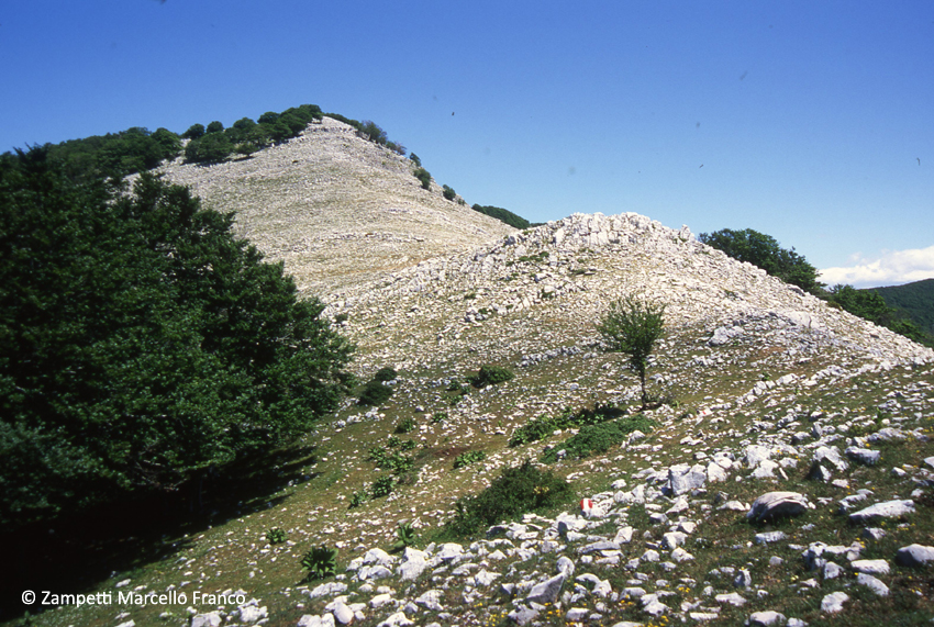 Monti Lepini | Escursioni, Sentieri e Trekking nel Lazio Monti Lepini | Escursioni, Sentieri e Trekking nel Lazio