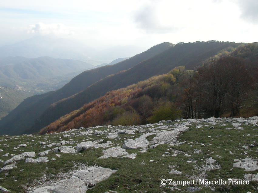 Pizzo Pellecchia | Sentieri nel Lazio Pizzo Pellecchia | Sentieri nel Lazio