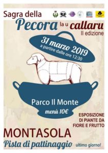 Sagra della Pecora 2019 a Montasola (RI) | Sagre nel Lazio