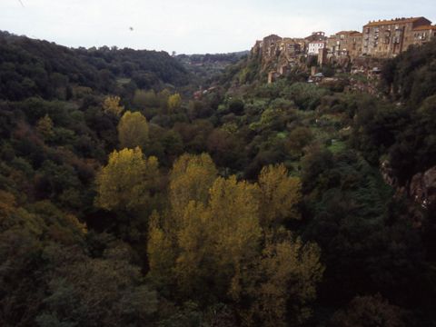 Da Barbarano Romano a Blera | Escursioni, Sentieri e Trekking nel Lazio