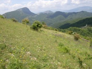Riserva Naturale Monte Navegna e Monte Cervia - I Parchi Naturali, Riserve e Oasi del Lazio