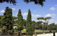 In tour tra le bellezze artistiche e storiche di Roma