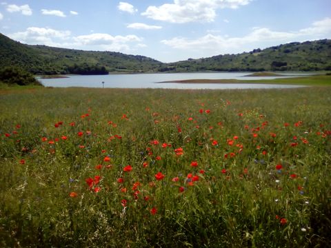 Lago di Canterno | Luoghi Misteriosi del Lazio