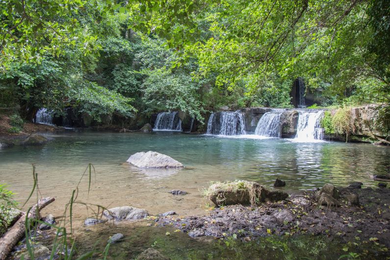 Parco Regionale Valle del Treja - I Parchi Naturali, Riserve e Oasi del Lazio