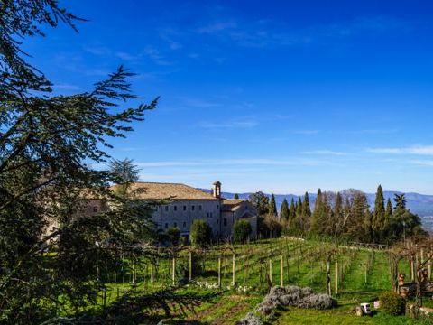 La Strada del Vino, dell’Olio e dei Prodotti Tipici della Terra di San Benedetto | Strade del Vino nel Lazio