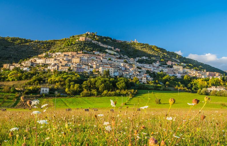 Il Tracciolino: Strada delle Tipicità Agroalimentari | Strade del Vino nel Lazio Il Tracciolino: Strada delle Tipicità Agroalimentari | Strade del Vino nel Lazio