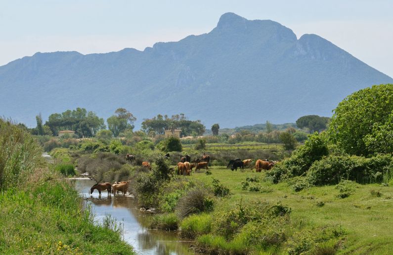 I Luoghi più belli dell'Agro Pontino | Lazio Nascosto I Luoghi più belli dell'Agro Pontino | Lazio Nascosto
