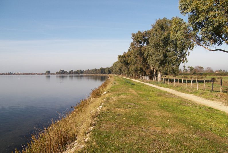 Dai Laghi costieri del Parco Nazionale del Circeo a Ostia Antica (Lago di Fogliano) | Lazio Nascosto Dai Laghi costieri del Parco Nazionale del Circeo a Ostia Antica (Lago di Fogliano) | Lazio Nascosto
