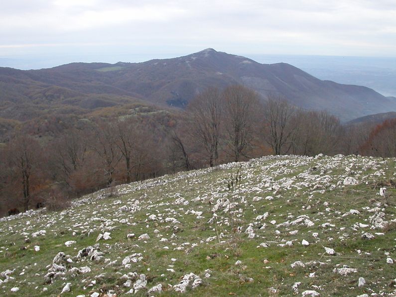 Parco Naturale Regionale dei Monti Lucretili | Lazio Nascosto Parco Naturale Regionale dei Monti Lucretili | Lazio Nascosto