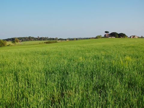 Riserva Naturale di Decima Malafede | Cosa vedere, Natura e Storia