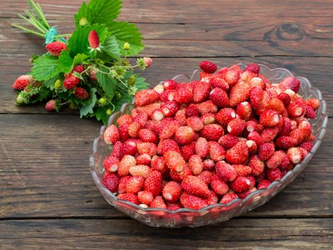 Sagra delle Fragole a Nemi | Date e programma