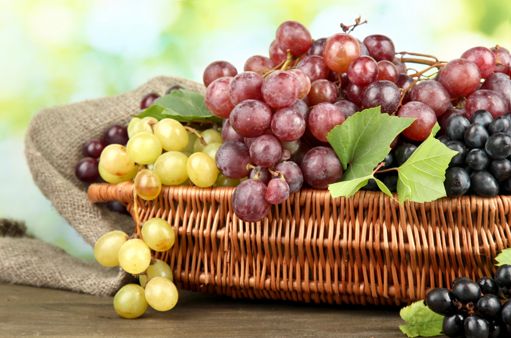 Festa dell'Uva 2025 a Mentana (RM) | Eventi enogastronomici nel Lazio