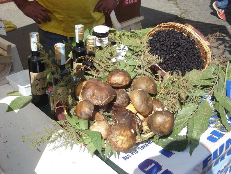 Sagra del Fungo Porcino a Oriolo Romano (VT) | Sagre nel Lazio