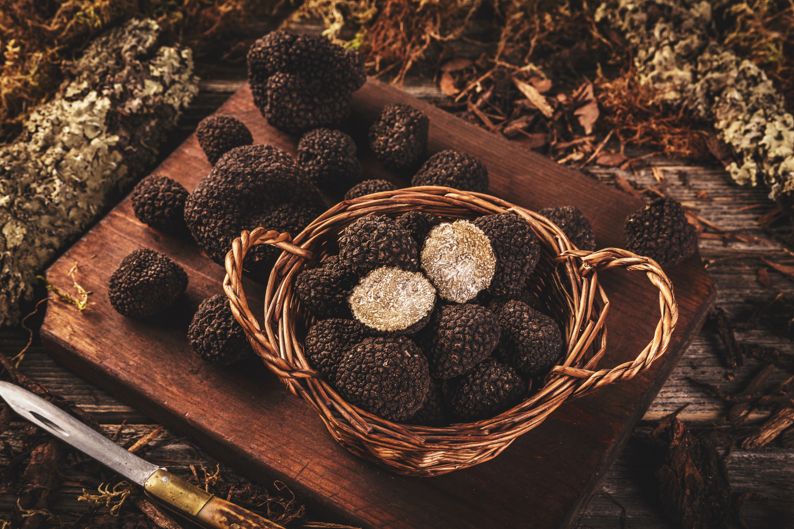 Sagra del Tartufo a Canterano (RM) | Sagre nel Lazio