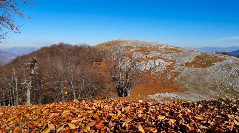 Monte Semprevisa da Pian della Faggeta | Lazio Nascosto Monte Semprevisa da Pian della Faggeta | Lazio Nascosto