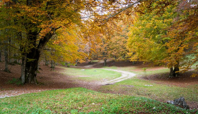Parco Naturale dei Monti Simbruini | Lazio Nascosto Parco Naturale dei Monti Simbruini | Lazio Nascosto