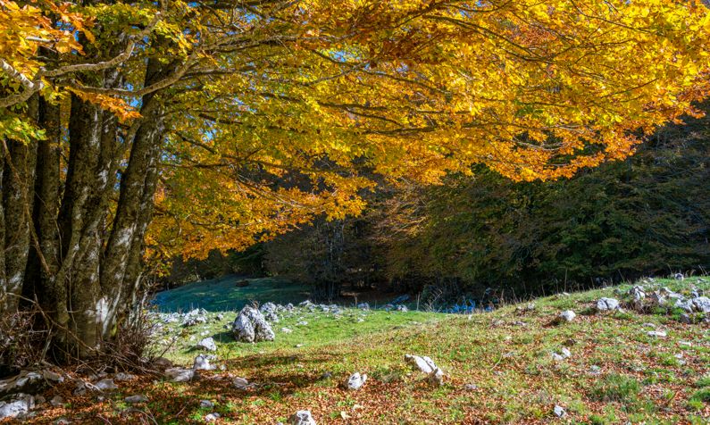 Forca d'Acero - Parco Nazionale d'Abruzzo, Lazio e Molise | Lazio Nascosto Forca d'Acero - Parco Nazionale d'Abruzzo, Lazio e Molise | Lazio Nascosto