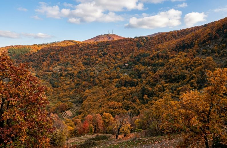 Parco Regionale dei Castelli Romani | Lazio Nascosto Parco Regionale dei Castelli Romani | Lazio Nascosto